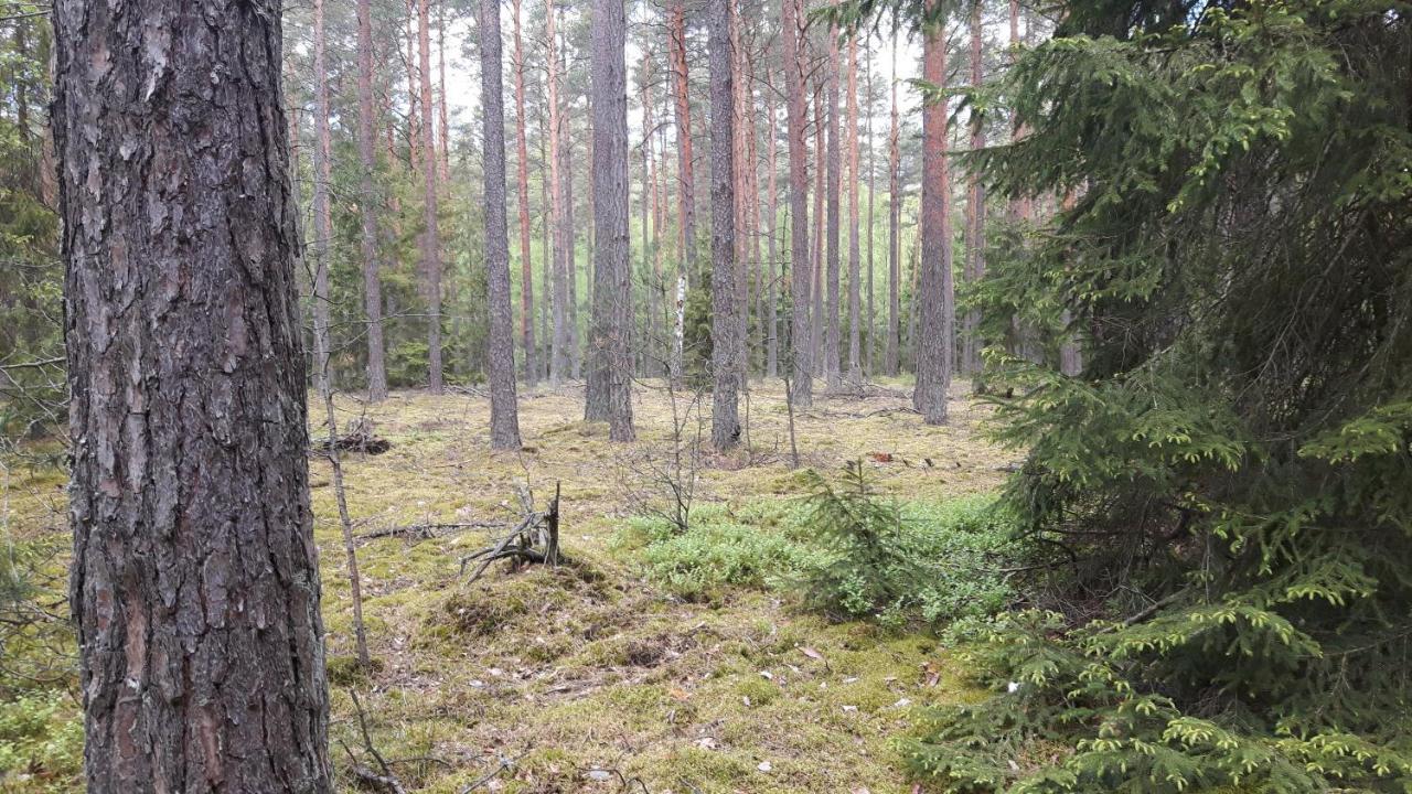 Bakusiowy Zakatek Leilighet Lipowo Kurkowskie Eksteriør bilde